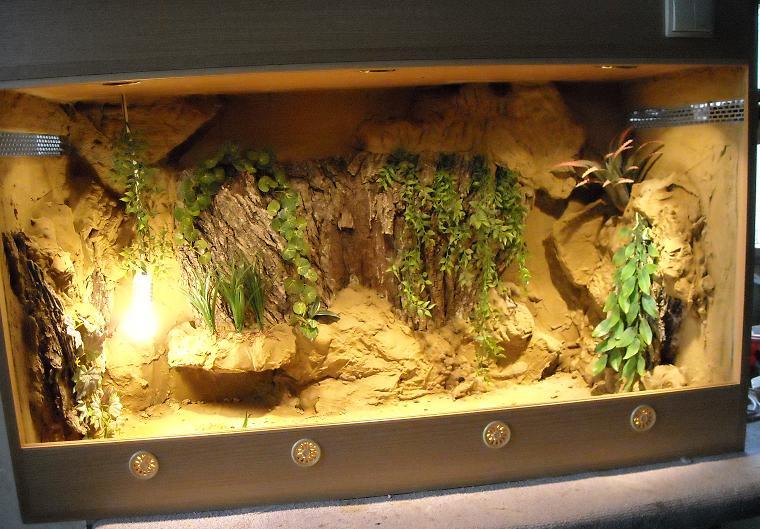 Terrarium Dla Węża Zbożowego Z Wyposażeniem WSZYSTKO O WĘŻACH HODOWLANYCH!!!: Terrarium Dla Węża