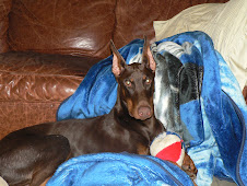 Joyton's Money to Burn Wescot