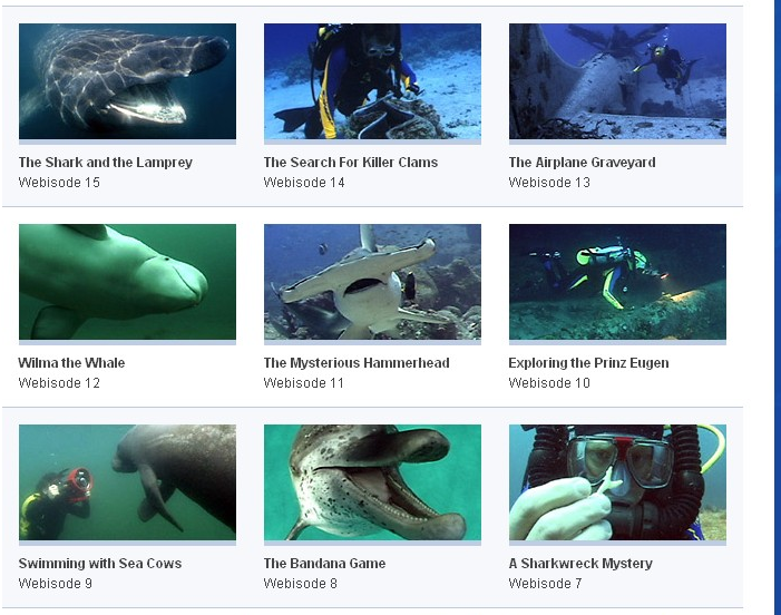 Jonathan Bird's Blue World