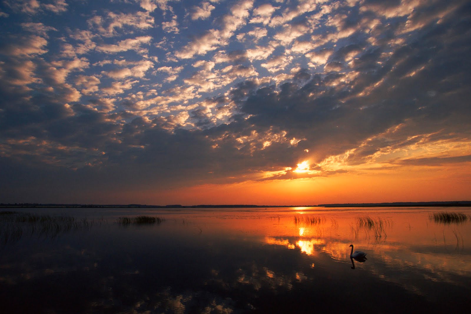PAISAJES: vista al mar