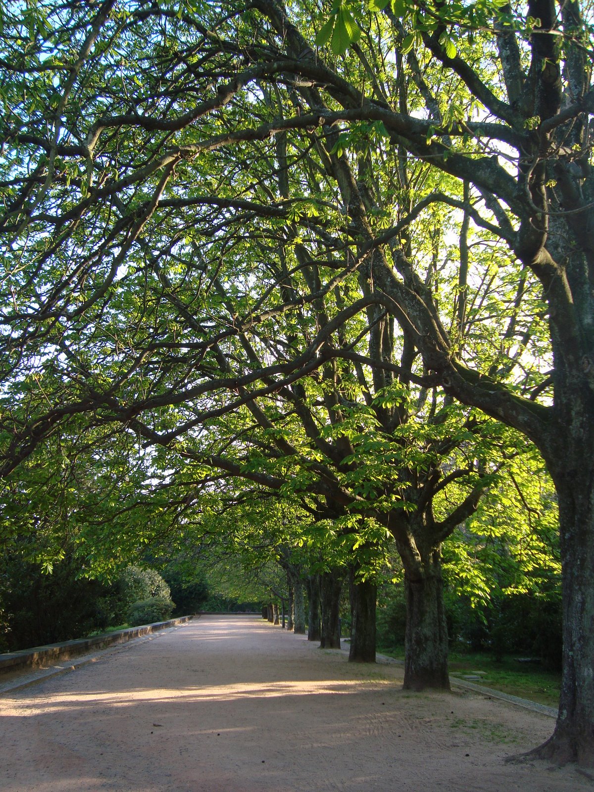 [14mar09serralves+015.JPG]