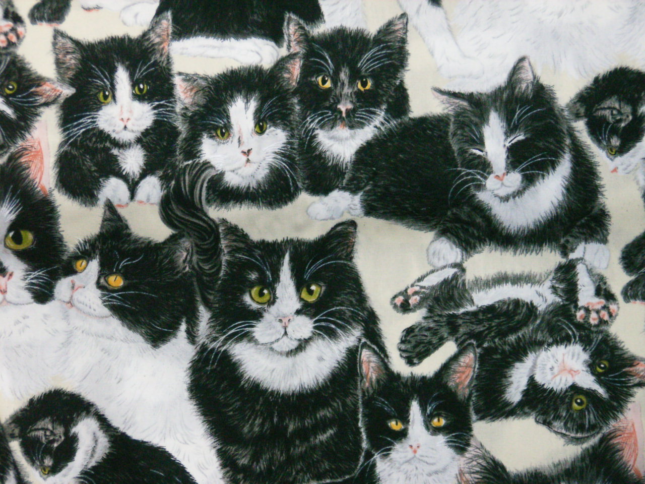 Black And White Cat Fabric 75