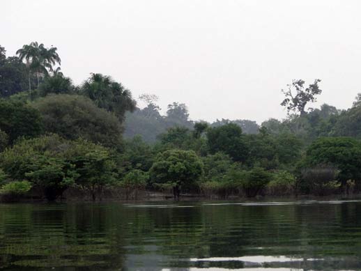 Nascer do dia na Amazonia: um lindo passeio de canoa