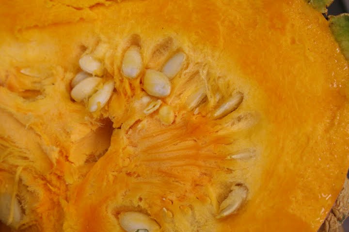 [peanut-pumpkin2.jpg]