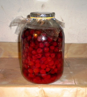 Visine conservate / Preserved sour cherries