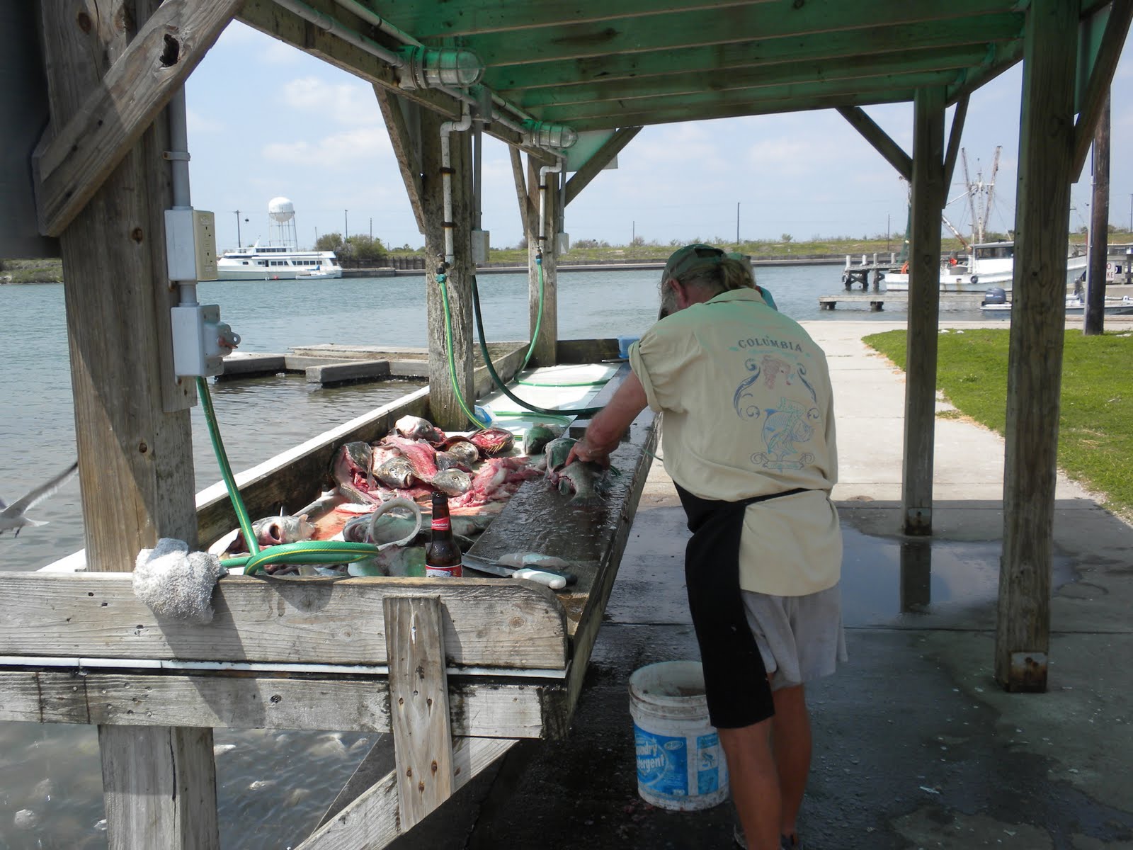 sylvesterstravelusa Aransas Pass, TX Kayaking