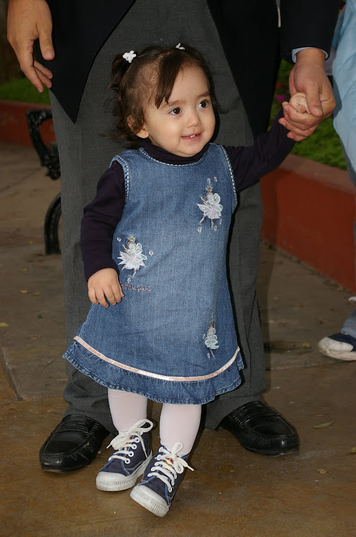 Arantzazuko Ama Birjinaren kofradiak