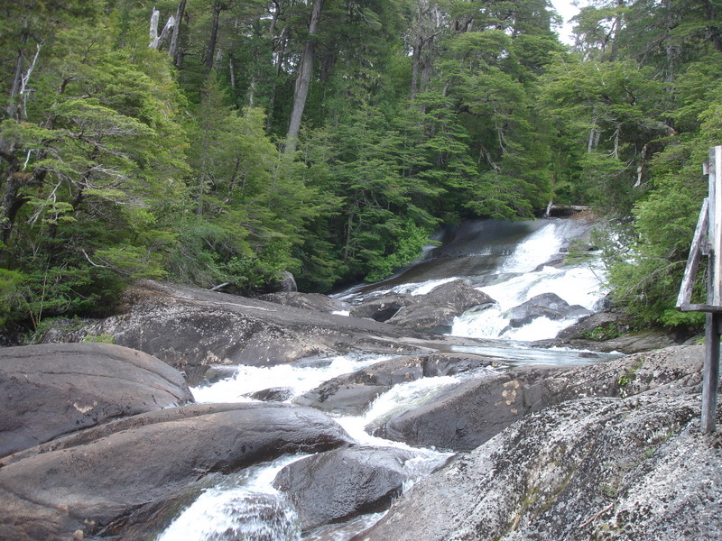 [DSC03972.JPG]