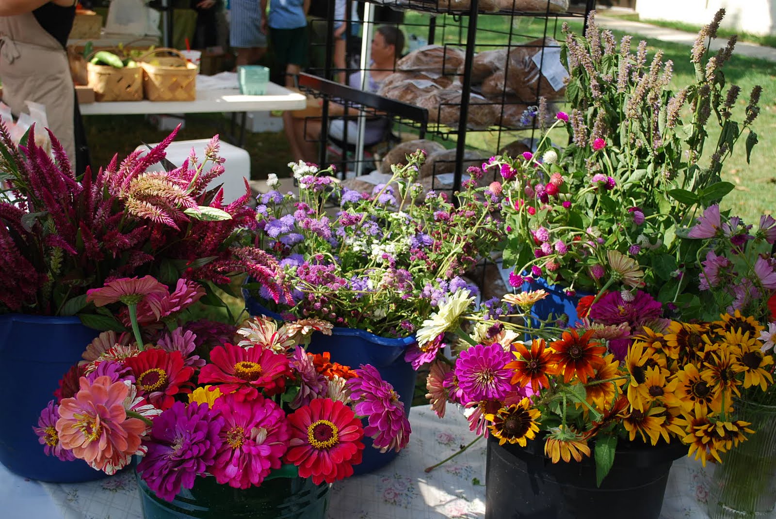 Charlotte avenue gems west nashville farmers market