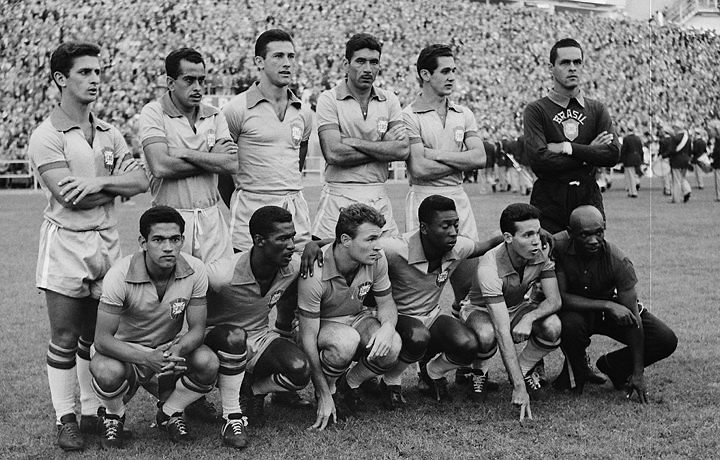 Botafogo, O Glorioso Copa do Mundo de 1958 na Suécia