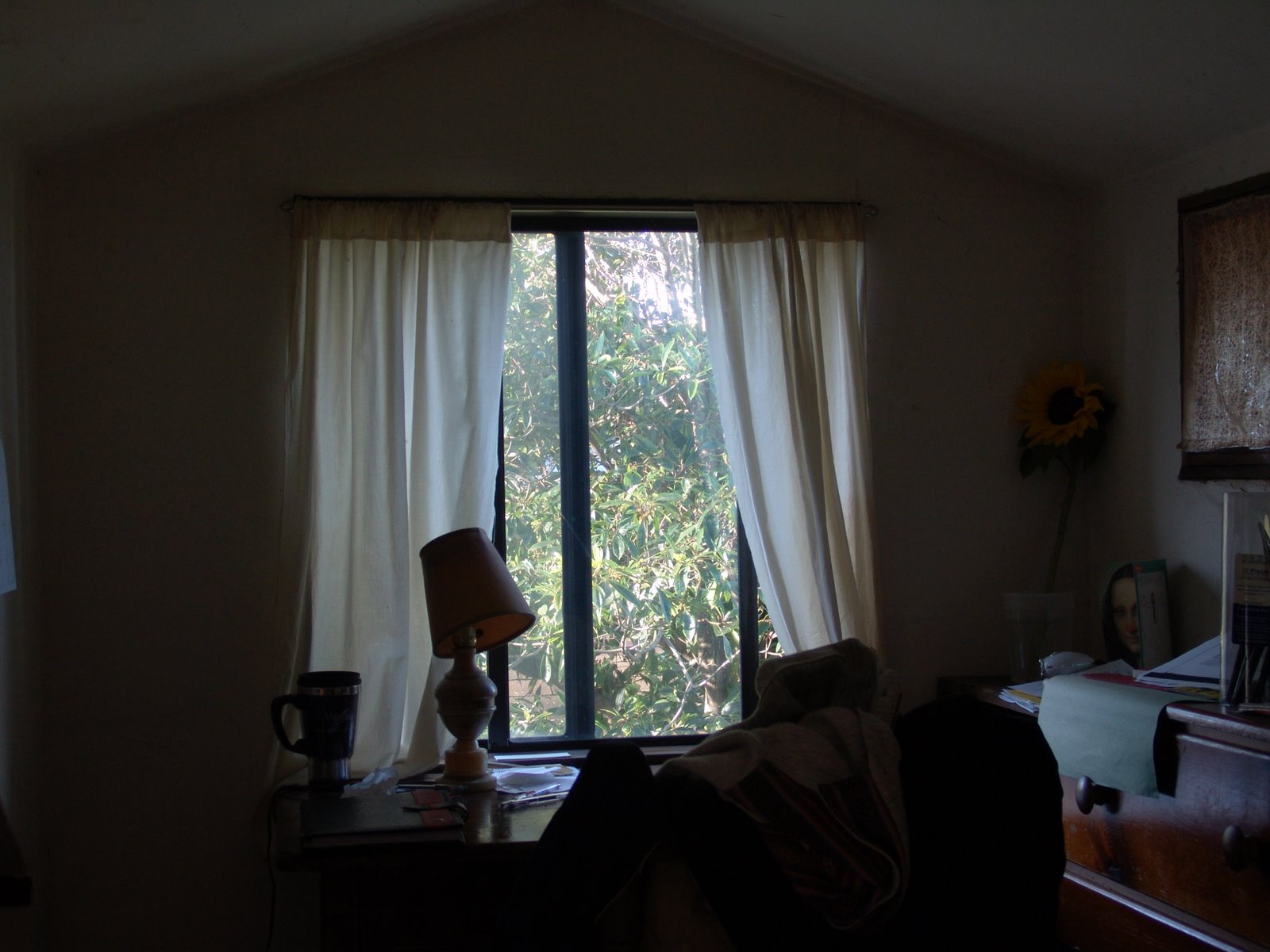 [DSC00794.JPG]