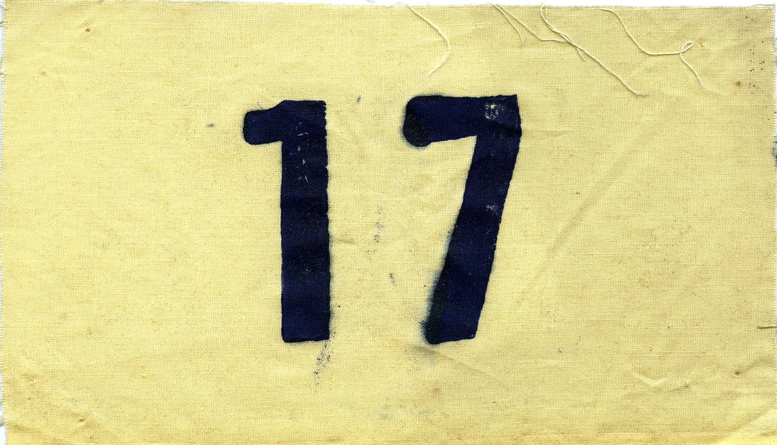 [DORSAL+VRSA001.jpg]