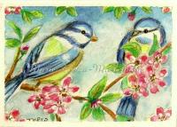 Birds and blossoms