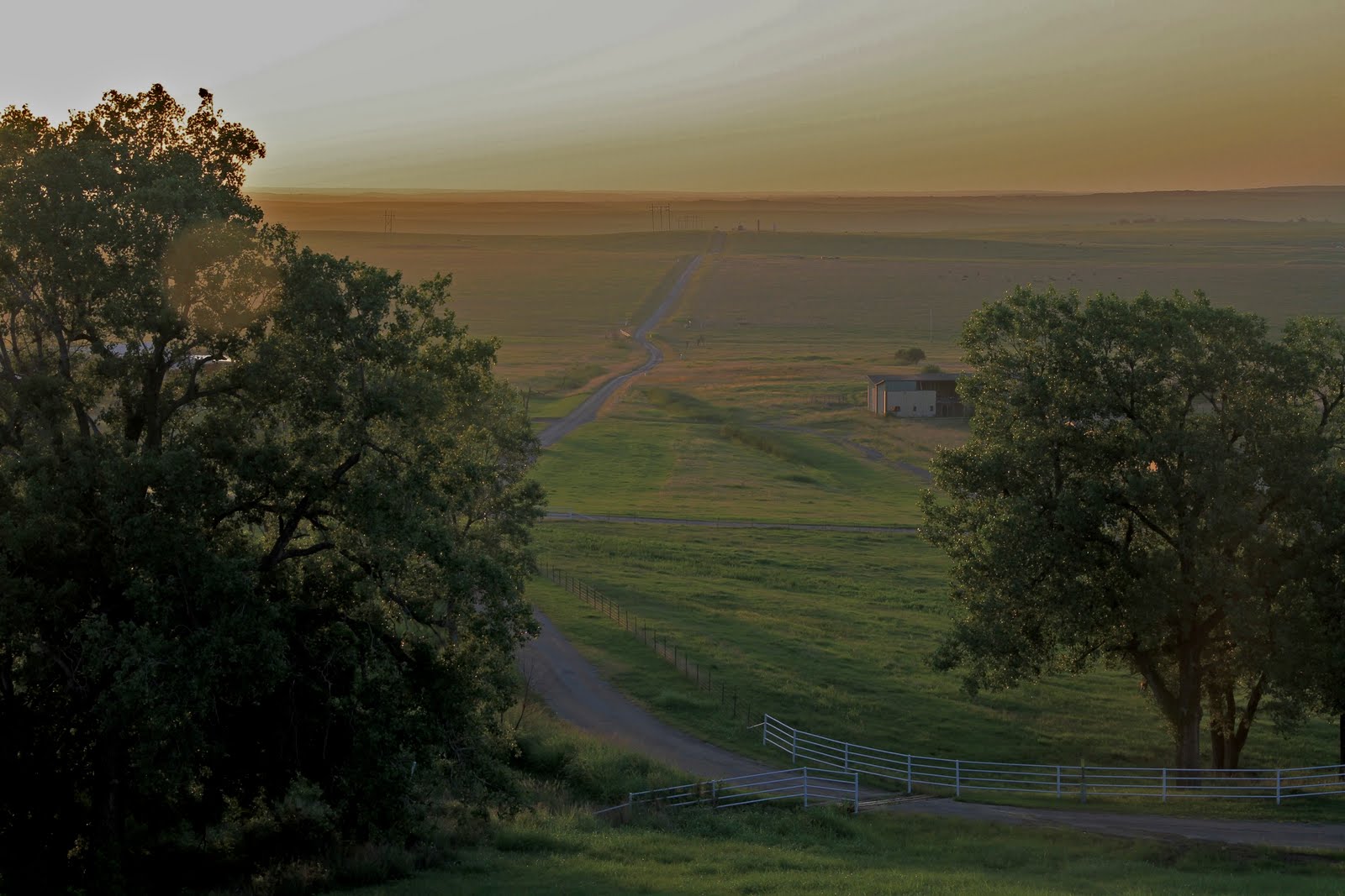The Adventures of Elizabeth Pioneer Woman invited me back to the ranch!