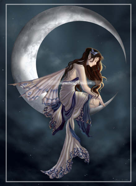 Sóc la Fada de la Nit