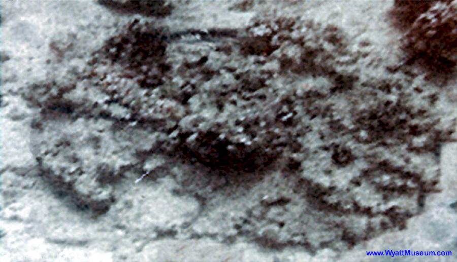 [553d106945.jpg]