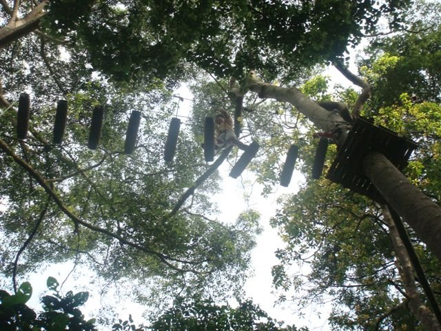 [DSC06188.JPG]