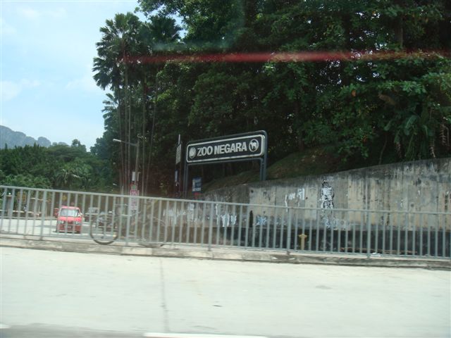 [DSC09913.JPG]