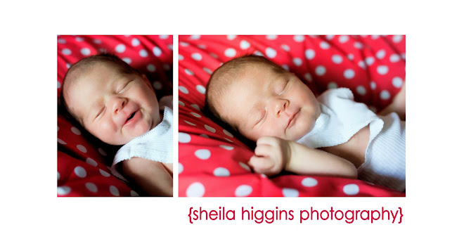 Sheila Higgins Photography Blog