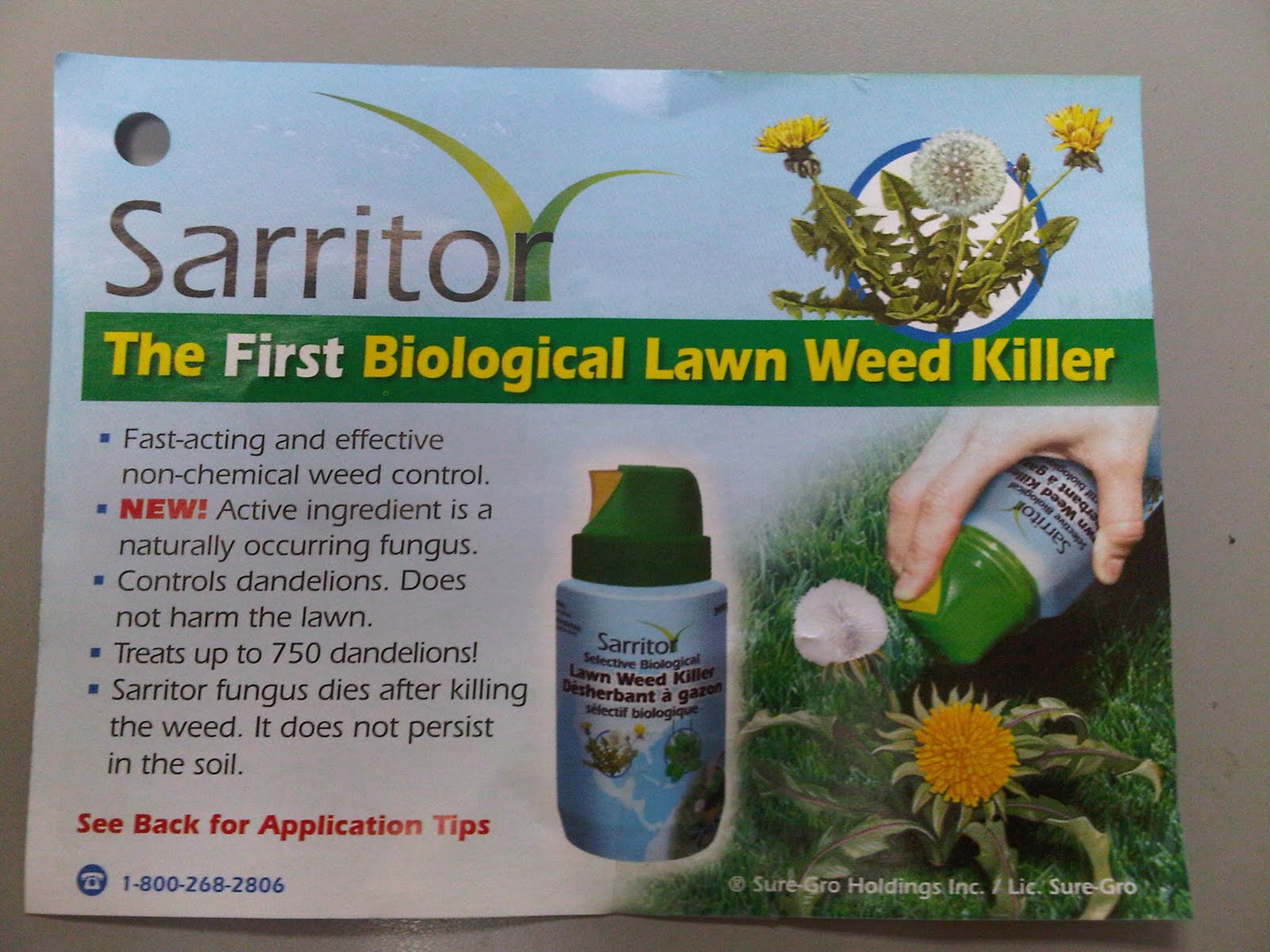 Turf King Hamilton Lawn Care Sarritor Dandelion Weed Killer