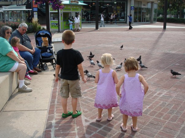 chasing pigeons at the harbor...