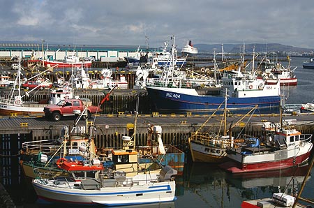[Reykjavik+harbour.jpg]