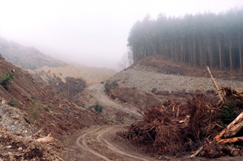 [MISC+-+Wind+factory.jpg]