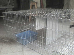 CREACIONES VILLATATIS