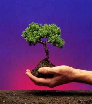 [desenvolvimento-sustentavel.jpg]