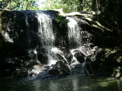 PEACE & TRANQUILITY - Deu Waterfalls, the pride & joy of Paine family