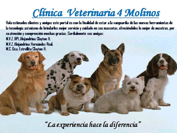 CLINICA VETERINARIA 4 MOLINOS EN LA PAZ B.C.S. CLINICA VETERINARIA 4 MOLINOS EN LA PAZ B.C.S.