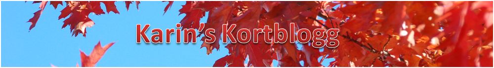 Karin's Kortblogg