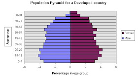 Rectangular Shaped Population Pyramid - Draw-virtual