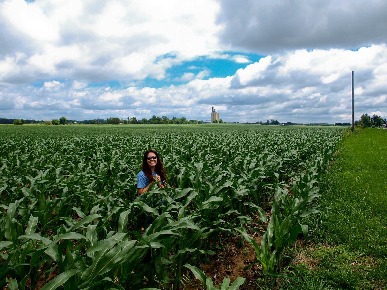 Orozco Photography Yay for Indiana! Corn Fields!!!
