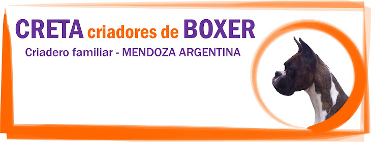 Creta criadores de Boxer