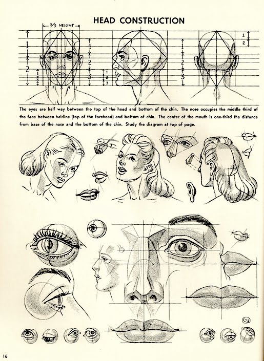 Drawing The Human Head Pdf