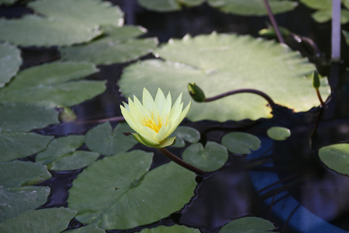 [20100124-04.jpg]