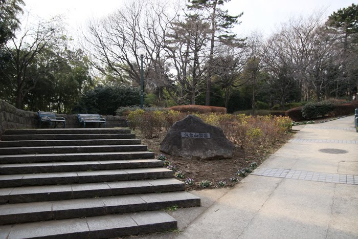 [20100131_01.jpg]