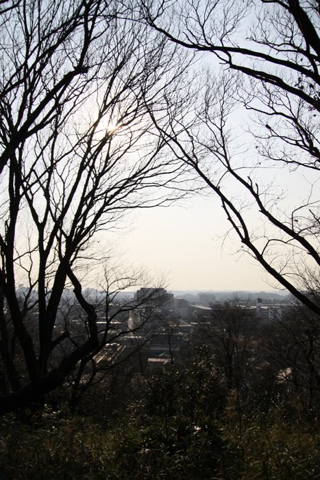 [20100131_03.jpg]