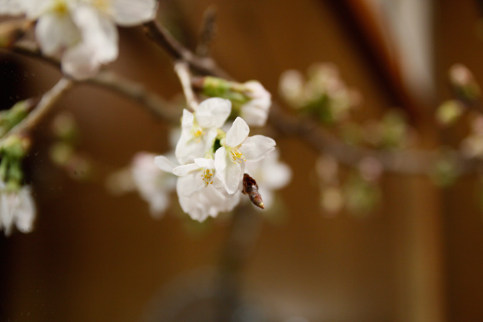 [20100313-01.JPG]