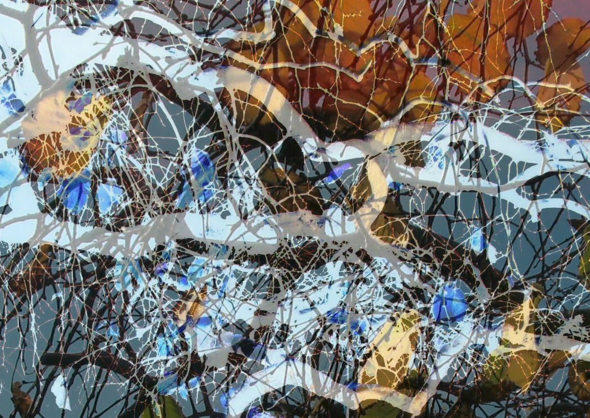 Geelong Visual Diary Can anyone paint like Pollock?