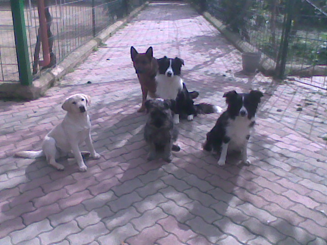 [siedi+resta+in+gruppo.jpg]