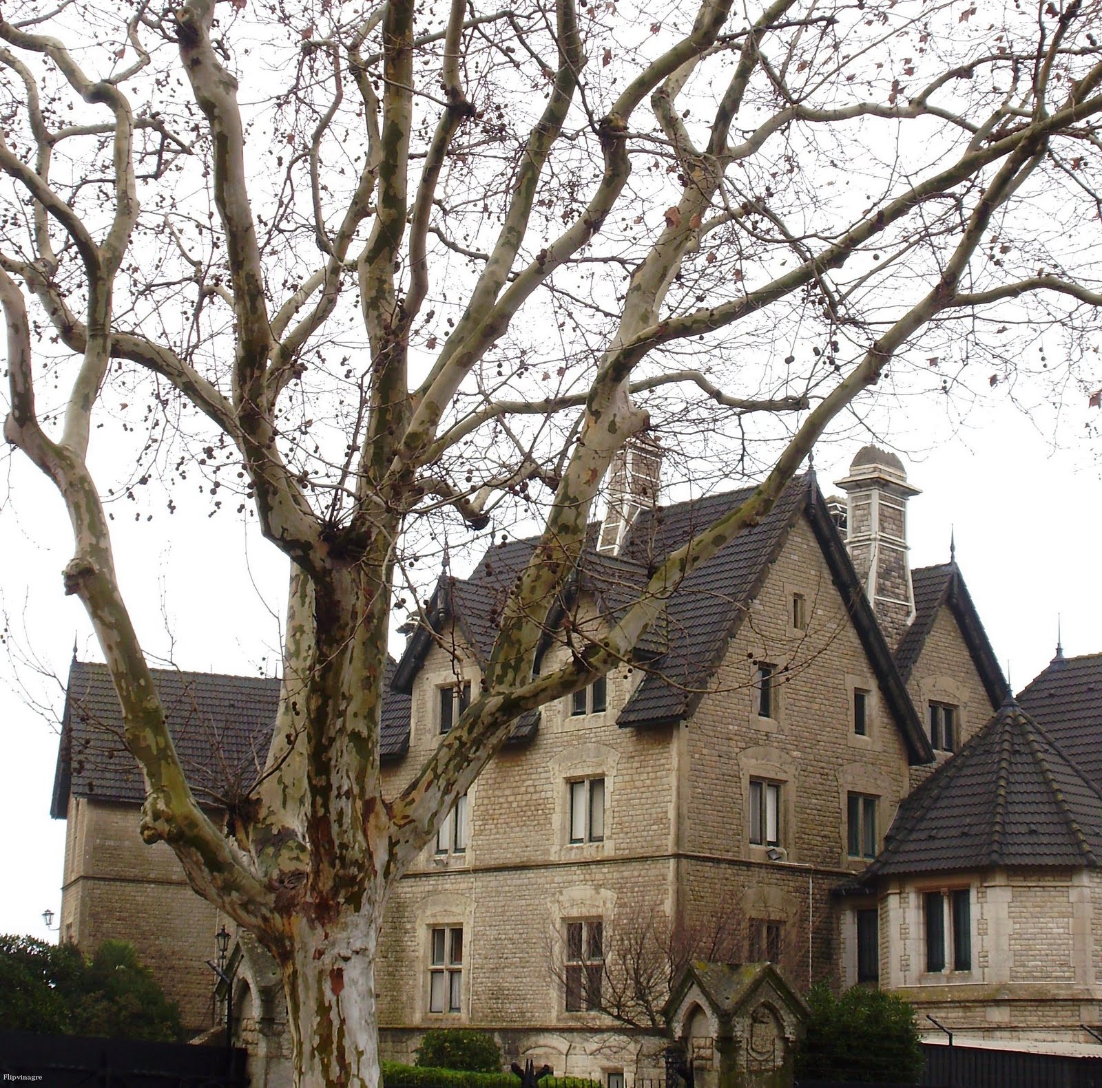 [Inverno+cinzentao.JPG]