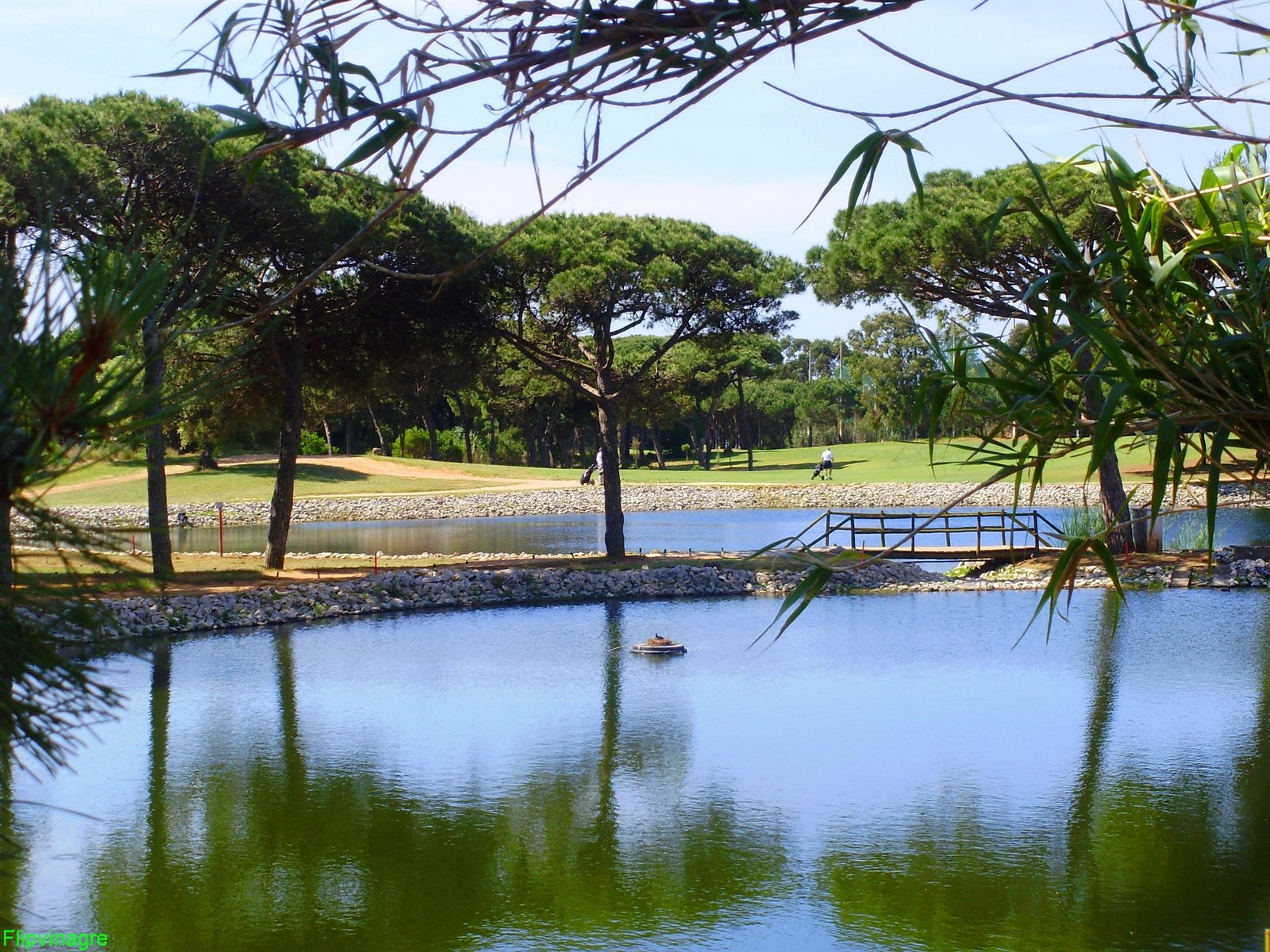 [green+dos+oitavos.JPG]