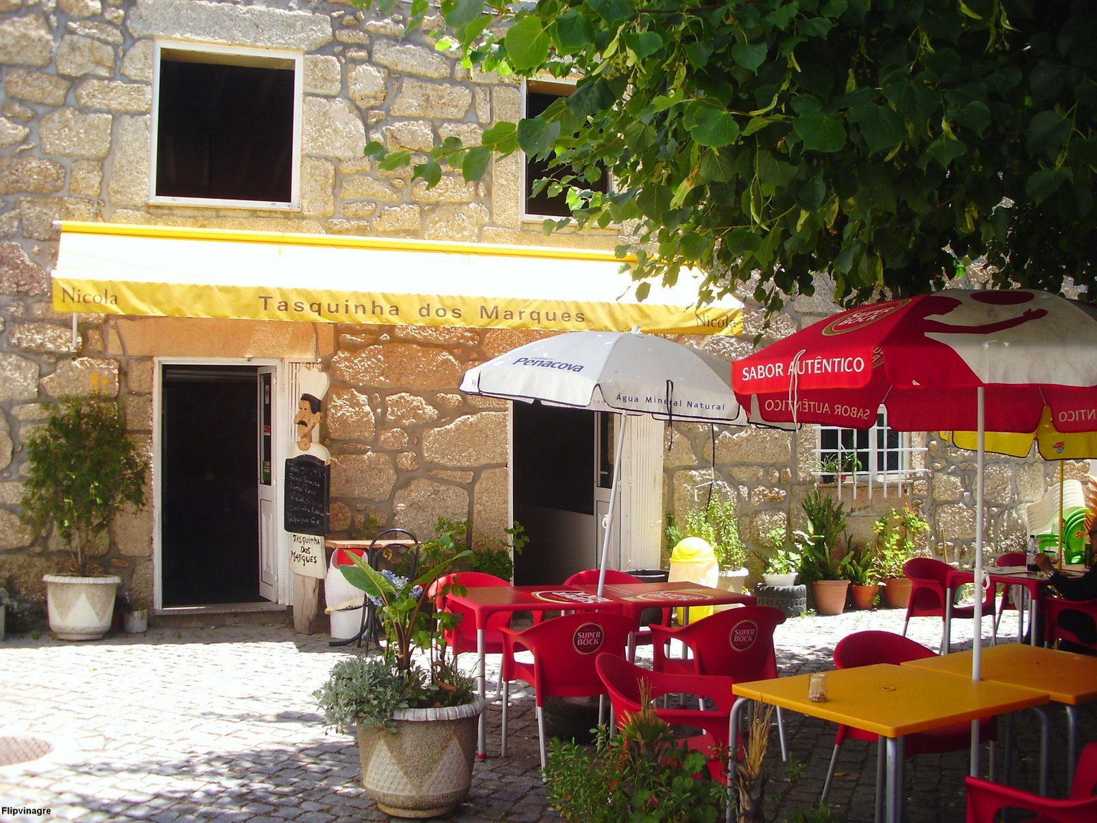 [tasquinha+em+Oliveira.JPG]