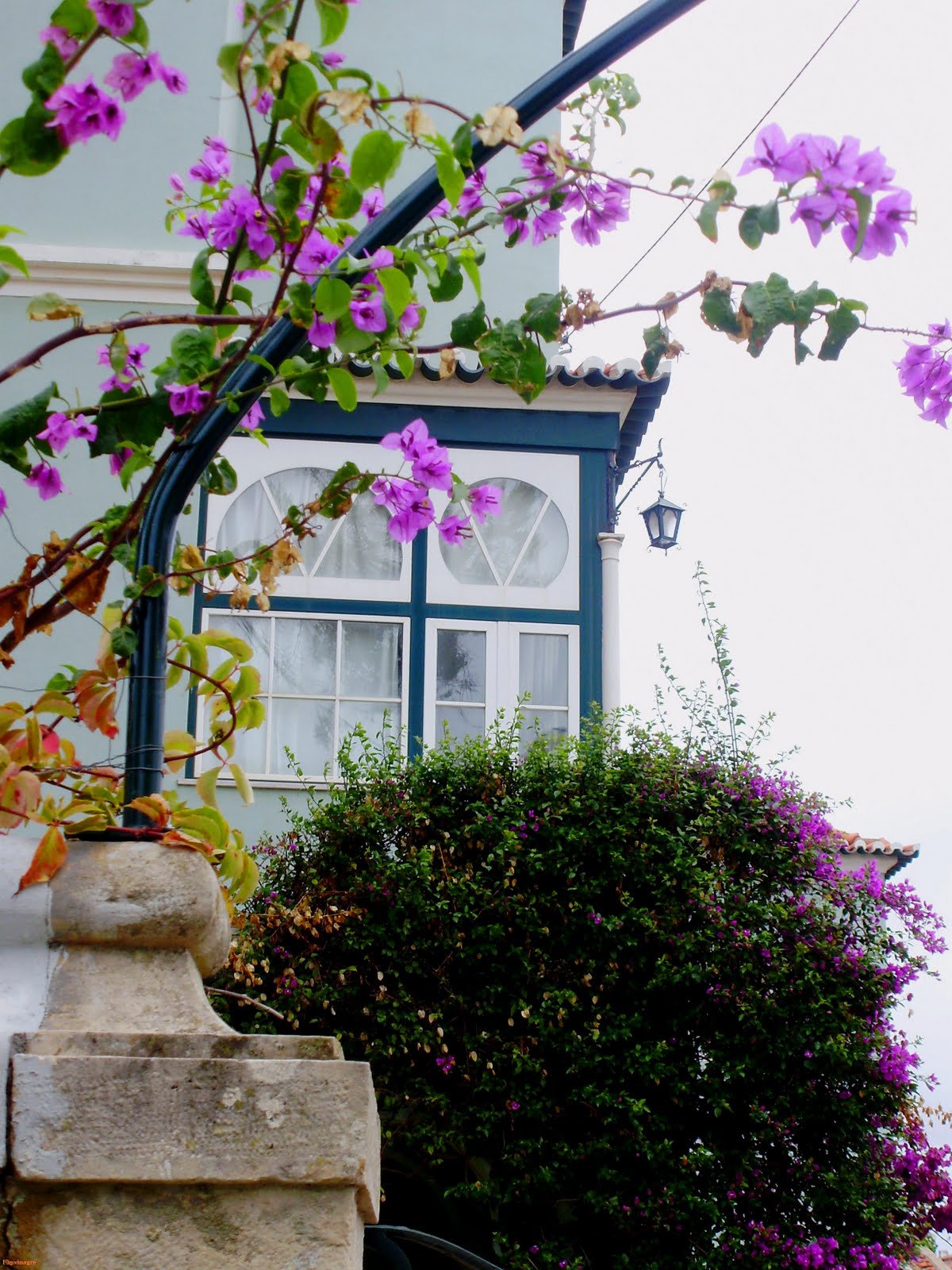 [outono+chegando.JPG]