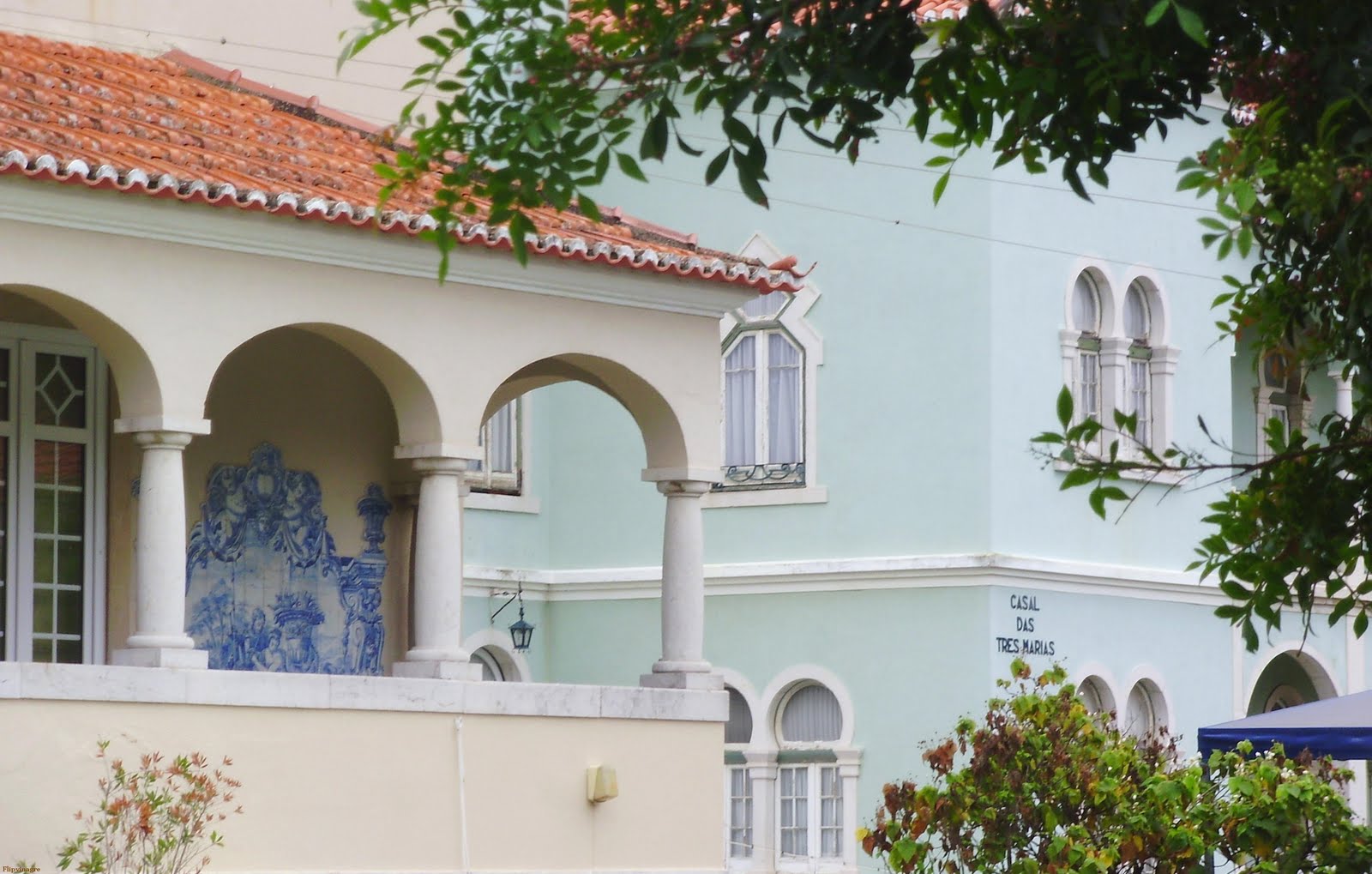 [arcos+no+verde.JPG]