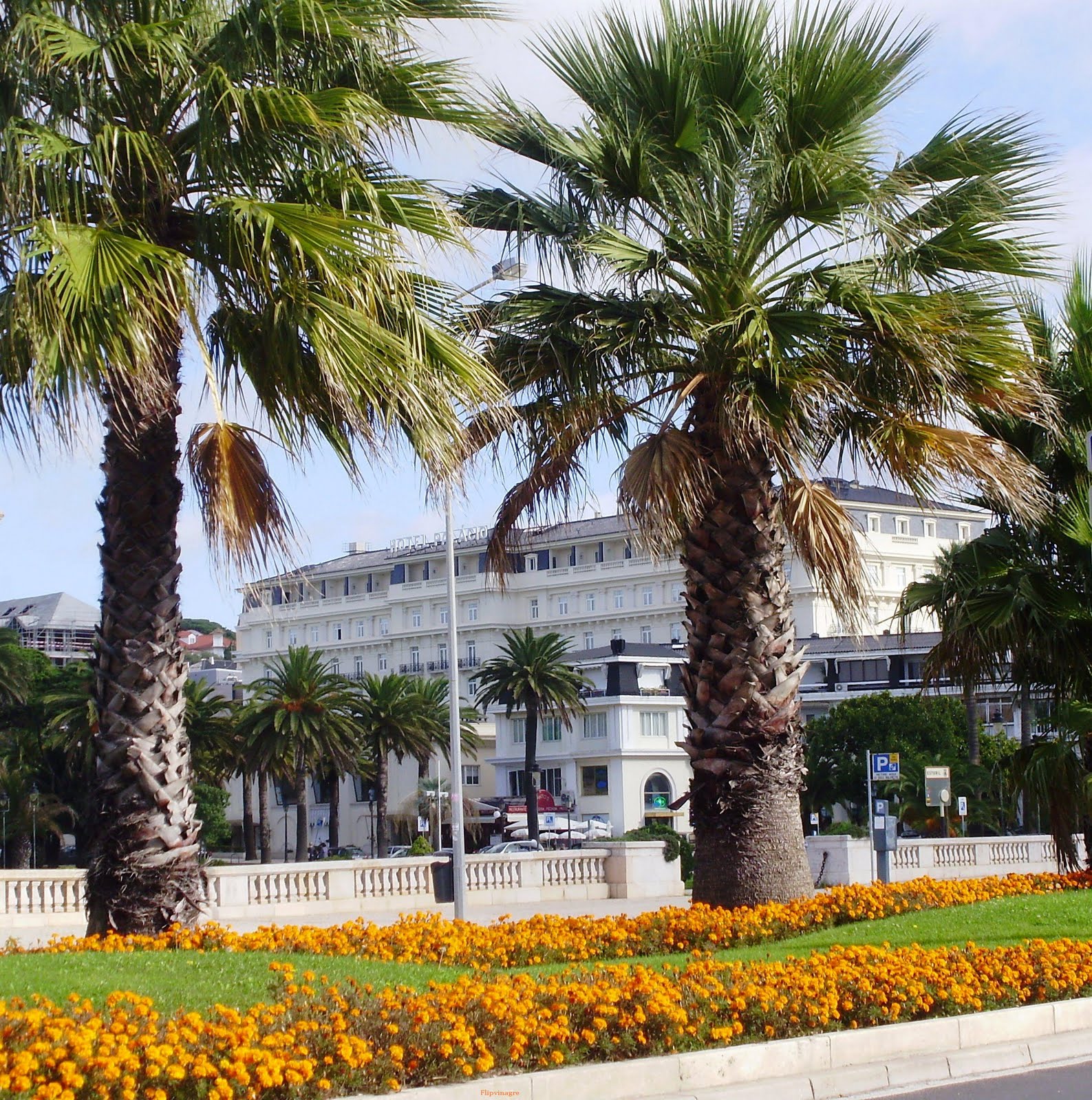 [as+cravinas+no+Estoril.JPG]