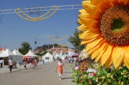 [Aspectogeraldia2802092007MJR.jpg]