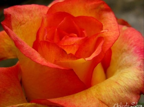 [normal_132076_photo.jpg]